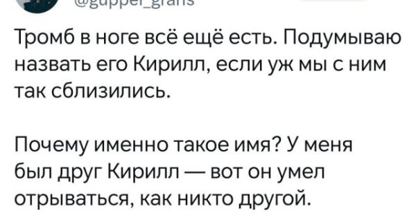 Пятничные фотоприколы: &laquo;У меня художественная студия&hellip;&raquo; (38 шт)