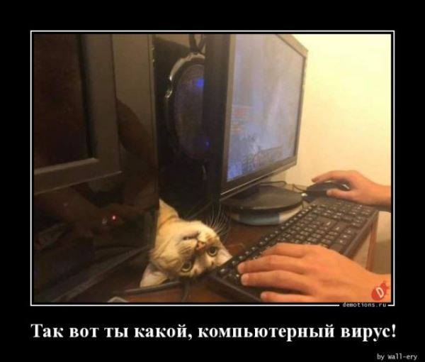 Демотиваторы на любой вкус: «Наташа стала бабушкой…» (18 фото)