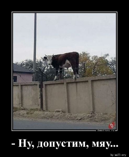 Демотиваторы на любой вкус: «Наташа стала бабушкой…» (18 фото)