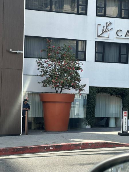 Пятничные фотоприколы: &laquo;У меня художественная студия&hellip;&raquo; (38 шт)