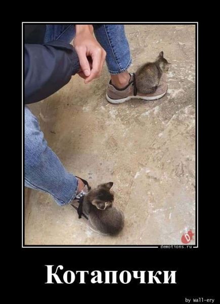 Демотиваторы на любой вкус: &laquo;А кому-то для полного счастья&hellip;&raquo; (18 фото)