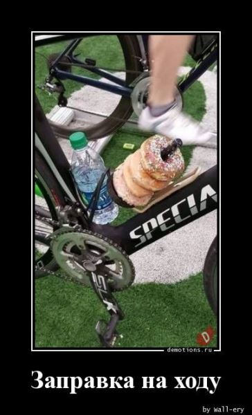 Демотиваторы для всех: &laquo;Желаю вам много тепла!&raquo; (20 фото)