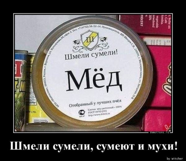 Демотиваторы на любой вкус: «Сделали точно по проекту…» (17 фото)