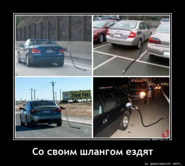 Демотиваторы &mdash; приколы: &laquo;Наревел&raquo; (14 фото)