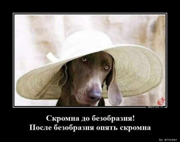 Демотиваторы &mdash; приколы: &laquo;Наревел&raquo; (14 фото)