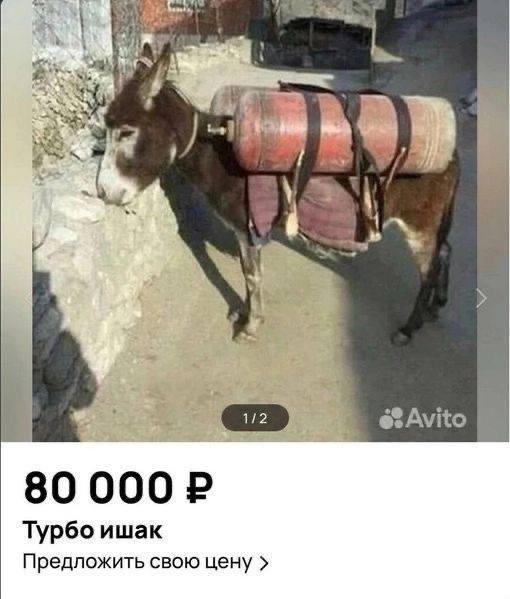 Немного интересных объявлений с Авито, предлагающих все, о чем только можно подумать