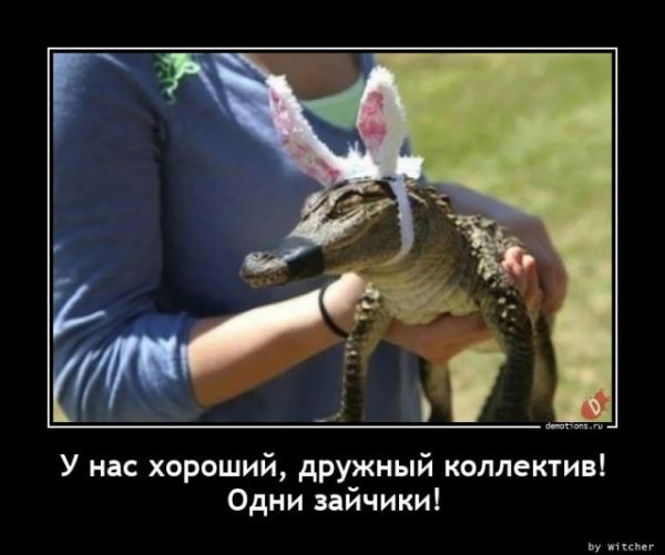 Демотиваторы на любой вкус: «Сделали точно по проекту…» (17 фото)