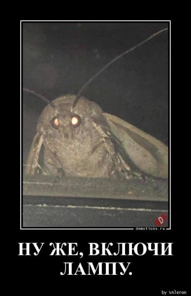 Демотиваторы на любой вкус: &laquo;А кому-то для полного счастья&hellip;&raquo; (18 фото)