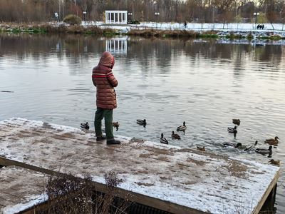 Новый этап в развитии: Обзор смартфона HONOR Magic V5