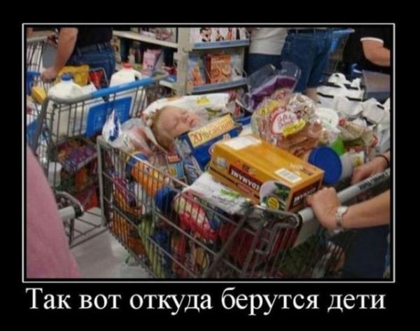 Демотиваторы на любой вкус: «Сделали точно по проекту…» (17 фото)