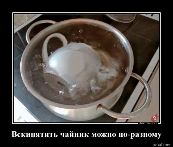 Демотиваторы на любой вкус: «Вскипятить чайник можно по-разному…» (18 фото)