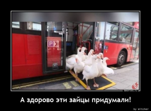 Демотиваторы на любой вкус: &laquo;А кому-то для полного счастья&hellip;&raquo; (18 фото)