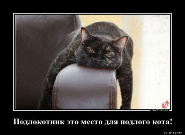 Демотиваторы &mdash; приколы: &laquo;Наревел&raquo; (14 фото)