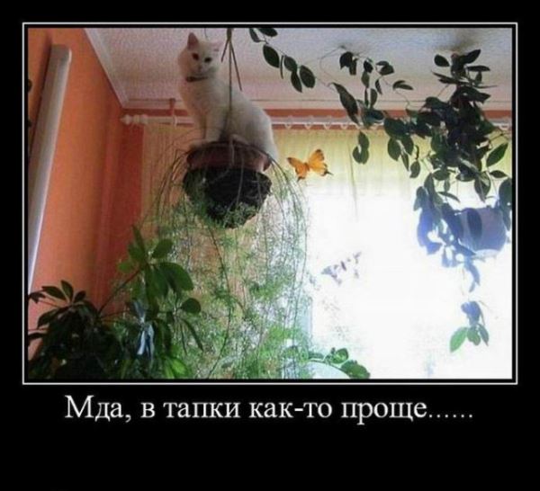 Демотиваторы для всех: &laquo;Желаю вам много тепла!&raquo; (20 фото)