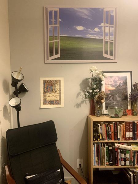 Картинки для весёлого настроения: &laquo;Британские учёные скрестили&hellip;&raquo; (27 фото)