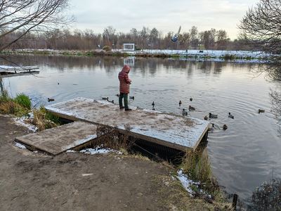 Новый этап в развитии: Обзор смартфона HONOR Magic V5