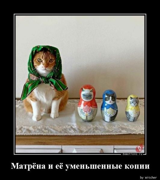 Демотиваторы на любой вкус: «Сделали точно по проекту…» (17 фото)