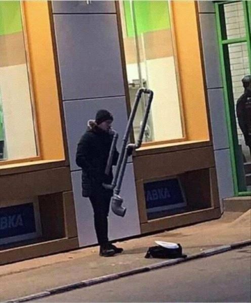 Картинки для весёлого настроения: &laquo;Британские учёные скрестили&hellip;&raquo; (27 фото)