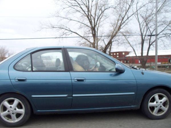 Пятничные фотоприколы: &laquo;У меня художественная студия&hellip;&raquo; (38 шт)