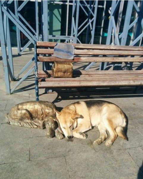 Пятничные фотоприколы: &laquo;У меня художественная студия&hellip;&raquo; (38 шт)