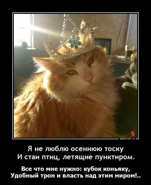 Демотиваторы на любой вкус: «Вскипятить чайник можно по-разному…» (18 фото)