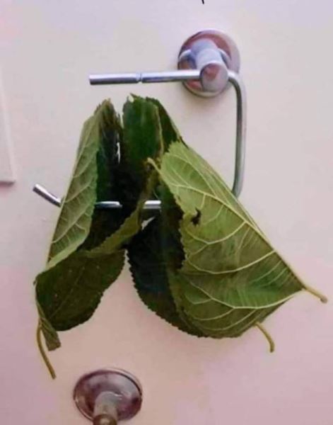 Картинки для весёлого настроения: &laquo;Британские учёные скрестили&hellip;&raquo; (27 фото)