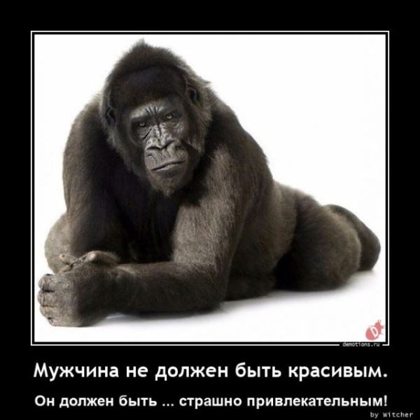 Демотиваторы на любой вкус: «Сделали точно по проекту…» (17 фото)