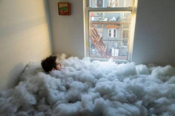 Картинки для весёлого настроения: &laquo;Британские учёные скрестили&hellip;&raquo; (27 фото)