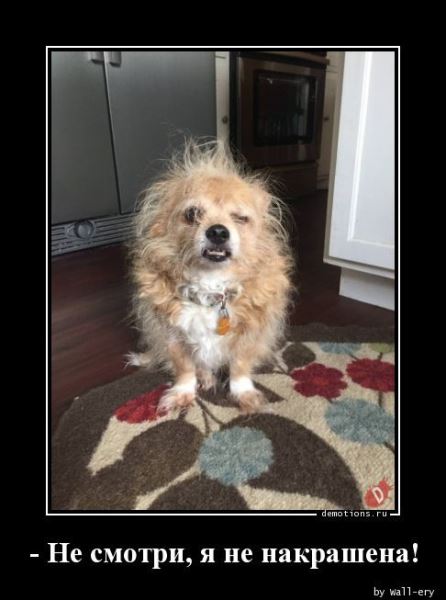 Демотиваторы для всех: &laquo;Желаю вам много тепла!&raquo; (20 фото)