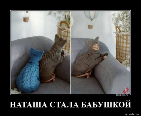 Демотиваторы на любой вкус: «Наташа стала бабушкой…» (18 фото)