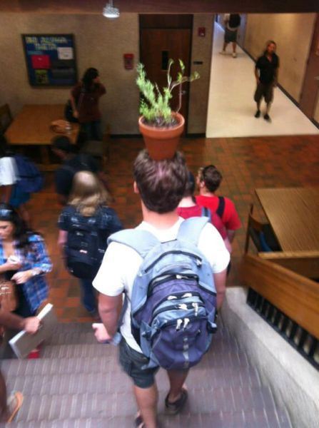 Прикольные картинки: «Не жди, пока будет 16:30…» (29 фото)