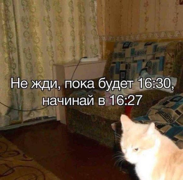 Прикольные картинки: «Не жди, пока будет 16:30…» (29 фото)