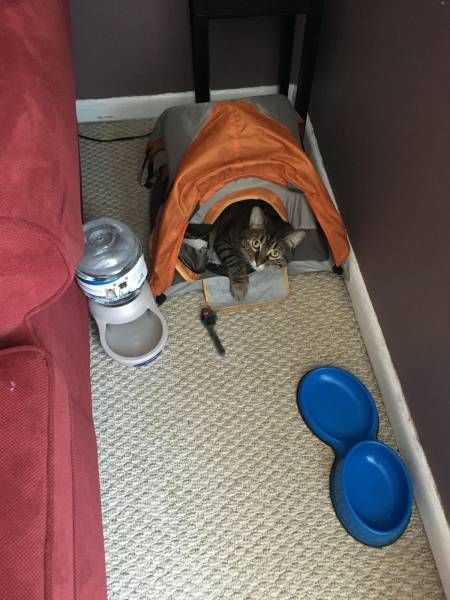 Прикольные картинки: «Не жди, пока будет 16:30…» (29 фото)