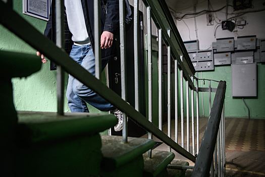 В&nbsp;маленькой квартире обнаружили животный ад&nbsp;из&nbsp;40&nbsp;кошек, 30&nbsp;собак и&nbsp;вороны